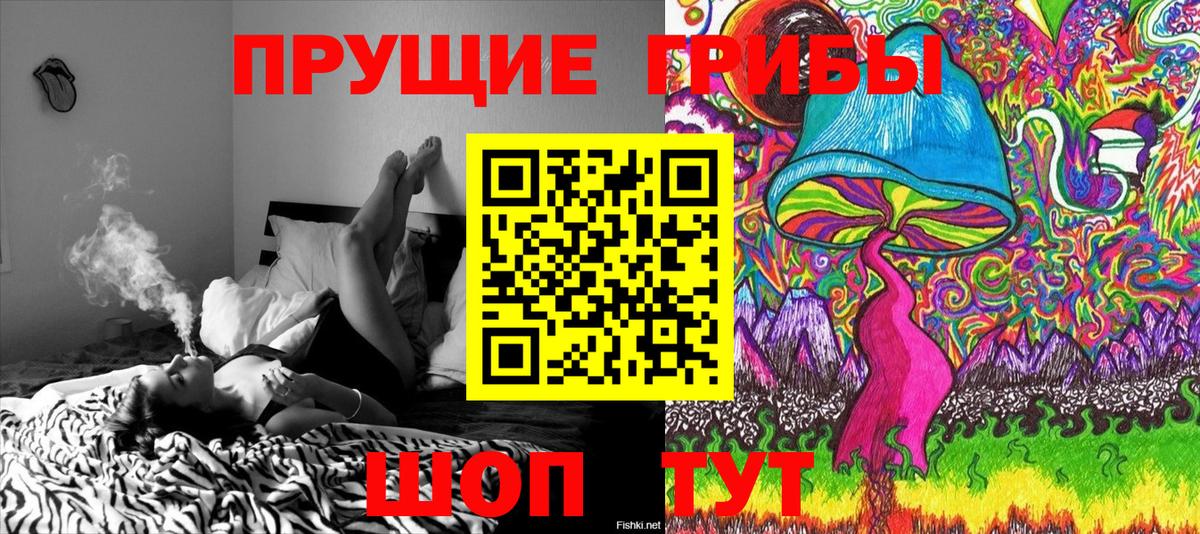Псилоцибиновые грибы Cubensis  Вход с VPN  Усолье-Сибирское 
